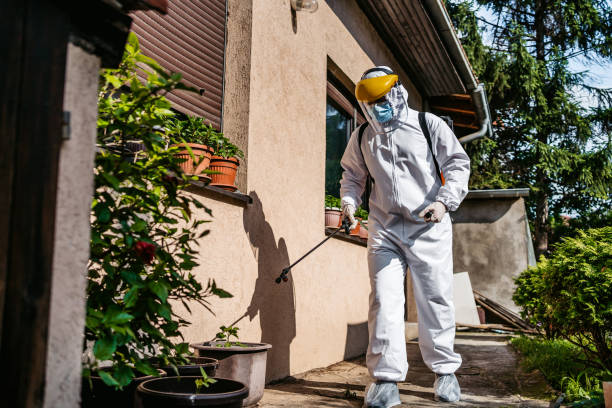 Best Local Pest Control Services  in Decatur, TN