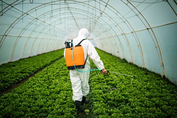 Best Pest Removal Services  in Decatur, TN