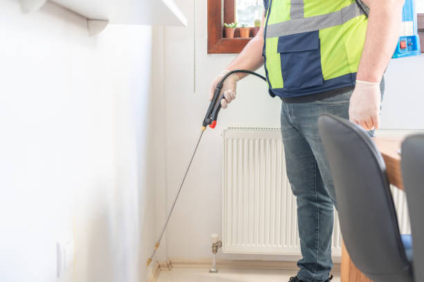 Best Wasp Removal Services  in Decatur, TN