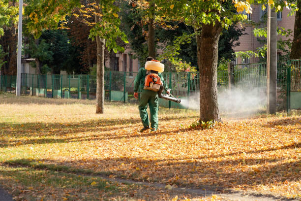 Best Mosquito Control Services  in Decatur, TN