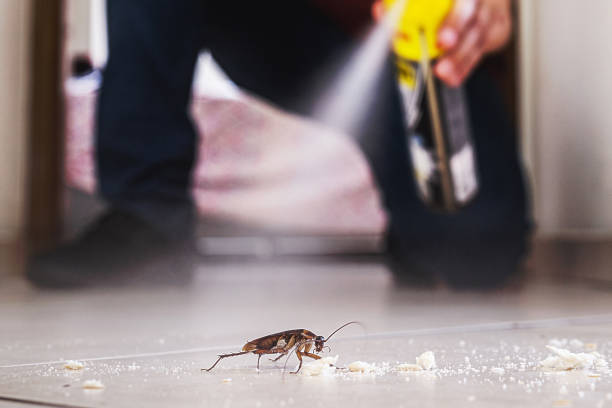 Wasp Removal Services in Decatur, TN