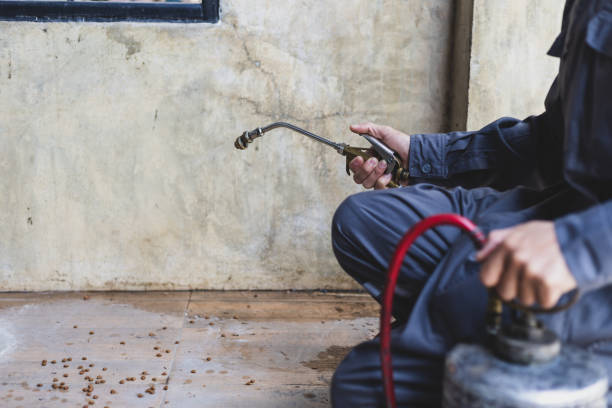 Best Pest Control Near Me  in Decatur, TN