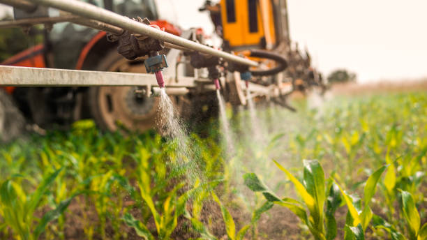 Best Pest Control for Businesses  in Decatur, TN